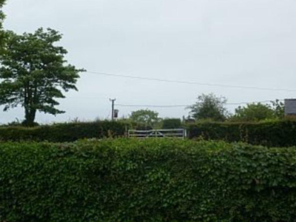 Llandyfrydog The Old Shopヴィラ エクステリア 写真
